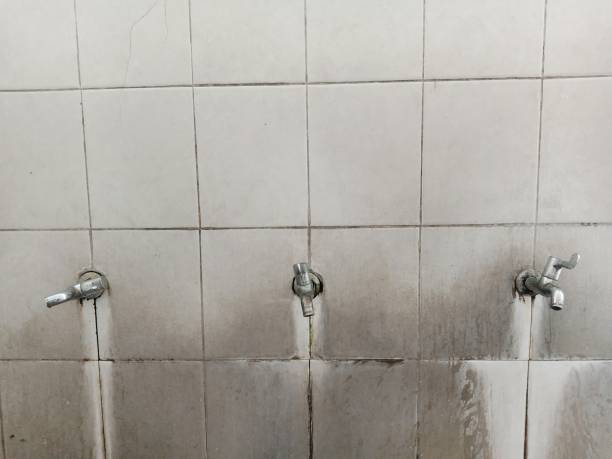 Water damage restoration mold remediation in Theodore, AL