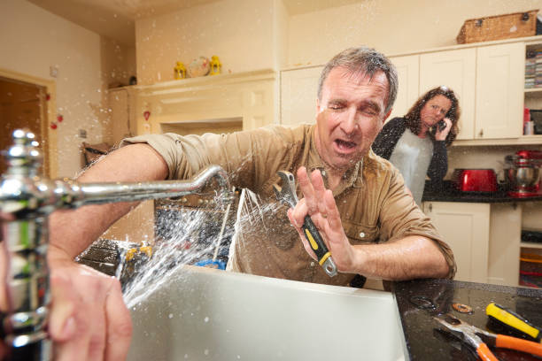 Trusted Theodore, AL Water damage restoration Experts